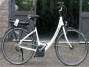 CICLI MAGNI di Magni Stefano
